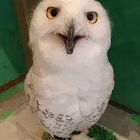 岩手県南ゆっくりまったりBe happy!