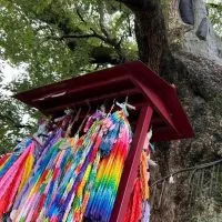 🔔🎶音楽劇「平和の鐘」キャスト