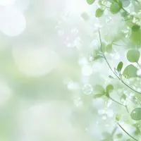 🌻シニア世代🌻昭和生まれさん集まって～🌟懐かしいお話し🌻みんなでしましょ*ˊᵕˋ*