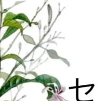 AGPセンシンレン