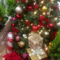 関西・遠足友の会【３０代〜５０代】