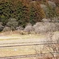福井県新型コロナウイルス情報共有専用