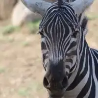 動物園&水族館