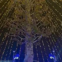 新しい学生さんどうぞ(彼女彼氏居ない居るは自由な部屋)➕美容努力等の部屋