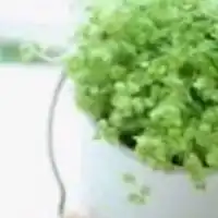 関西🌸40代 50代60代🎐仲良く楽しく🍁話そう遊ぼう飲もう食べよ🙌