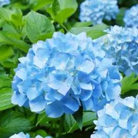 🌈笑顔の毎日🌈40代を楽しもう😊