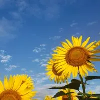🌈笑顔の毎日🌈40代を楽しもう😊