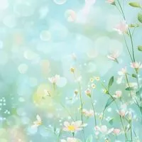 全国50代からの交流Talk部屋