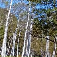 北関東(群馬、栃木、茨城)キャンプ、アウトドアが好き⛺