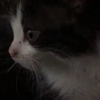 歪まないくらいに愛して欲しいの