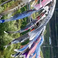 東海レブル (愛知*三重*岐阜*静岡)