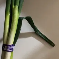 ライブトーク(　-`ω-)✧