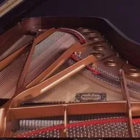 ライブトークでピアノを弾こう！