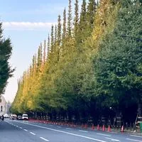 オープニングメンバー募集　　　　　　　　　　　　　🗼東京近郊散策しませんか？