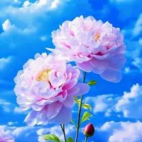 🌸関西シングルの寄り道処🌸