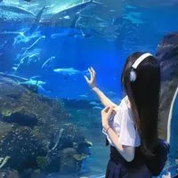 ★韓国写真館★トーク禁止⚠️
