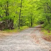 【北東北】林道/オフロードバイク情報交換🌳！