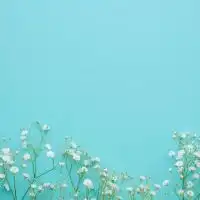 50⭐︎60代～・子供なし・女性限定なお部屋🎶