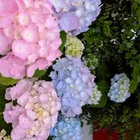 60代〜楽しくトーク😄