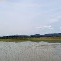 🍀気持ちは若い【50代】🍀