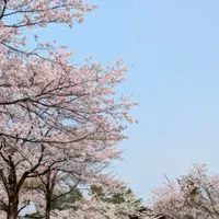 🍀気持ちは若い【50代】🍀