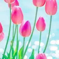 一人暮らし女性限定🌷50代60代