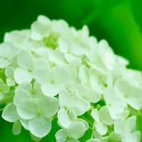 (ˆ꜆ .  ̫ . ) 九州 40代からの雑談部屋