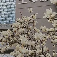 愛媛大学工学部