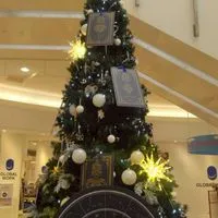 変形性膝関節症、腰痛、股関節の雑談部屋