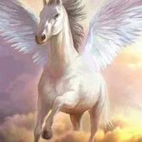 変形性膝関節症、腰痛、股関節の雑談部屋