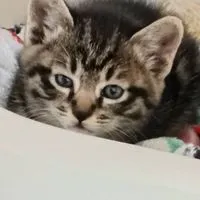 恋バナしよー！🫶