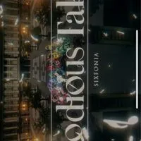 シクフォニ推しさん集まって〜！！