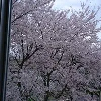弥富看護学校🙌