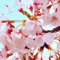 【大学受験】高校生の保護者の部屋
