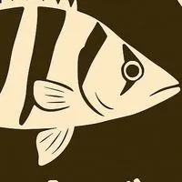 熱帯魚　古代魚　魚組