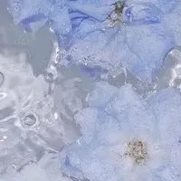 生活音&Vlog好きな人、集合〜！