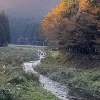 ガサガサ採集・フィッシング・日本淡水魚飼育・爬虫類・水槽アクアリウム写真動画投稿【TEAMGASA】