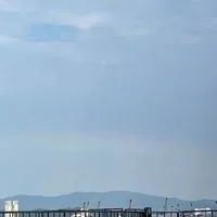 バウンティ、にゃんこ、なんでもオプ