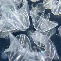 みんなで自由気ままに歌お！