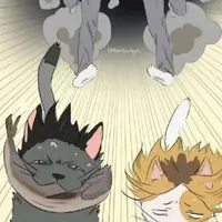 ハイキューキャラ推し集合〜！