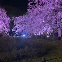 神聖かまってちゃん＆Vtuber＆ジャニオタVSアンチ  全員副官贈呈