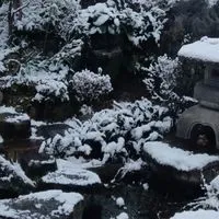 小説書き隊！