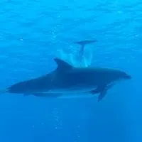 お悩み相談
