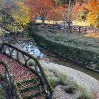 愛知県 尾張地区 40.50代でわいわいたまにランチ