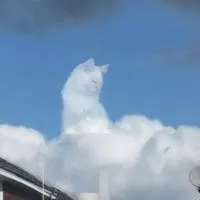 見せ合おうイラスト部