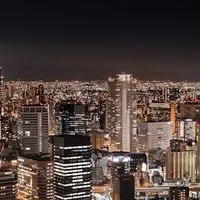 カービィ愛好家2