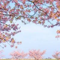 40代50代ライブトークと雑談