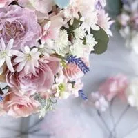 # 全也  𓂃𓂂𓍯 *.ﾟ