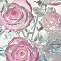 RoseForYou：（全緩也ハント）