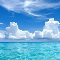🌸60代関東女性限定🌸友達探し🌸旅友🌸ランチ友